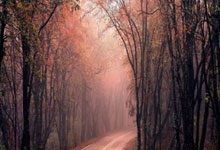 开云体育在线-FLY绝杀EG,Hylissang统治全场