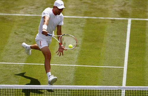 温网完胜蒙特卡洛大师赛，蒂姆点燃赛场的简单介绍